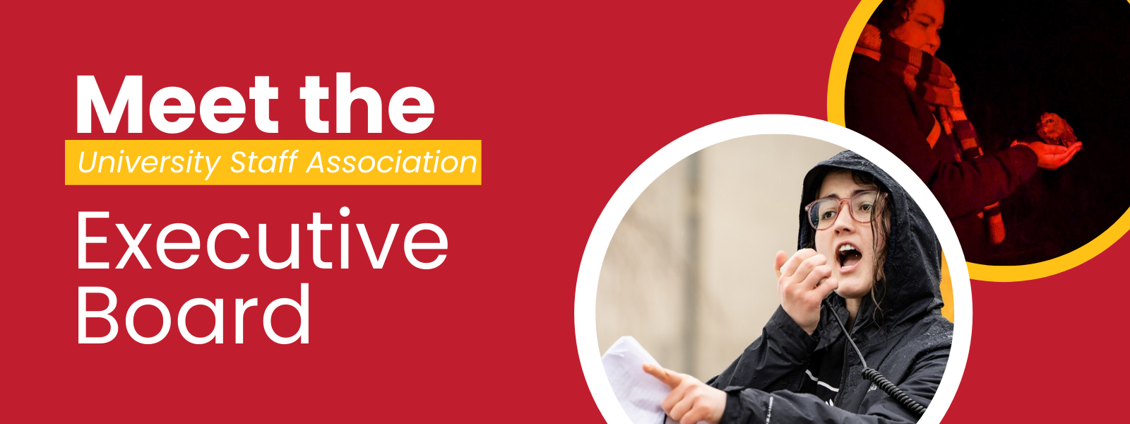 Meet the USA Executive Board