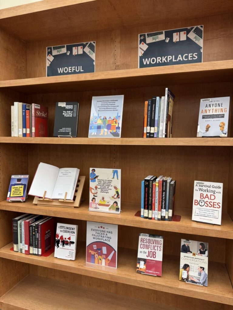 Image of books displayed on library shelves 